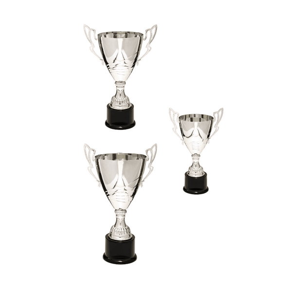 CMCSET320S--silver metal cup