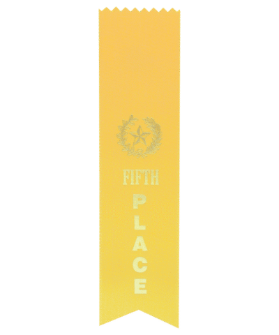 5th PLACE YELLOW RIBBON